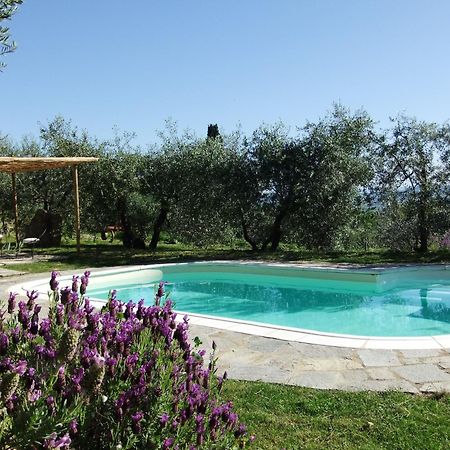 Agriturismo Il Castagnolino San Gimignano Exterior photo