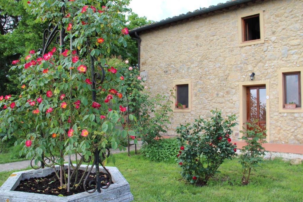 Agriturismo Il Castagnolino San Gimignano Room photo
